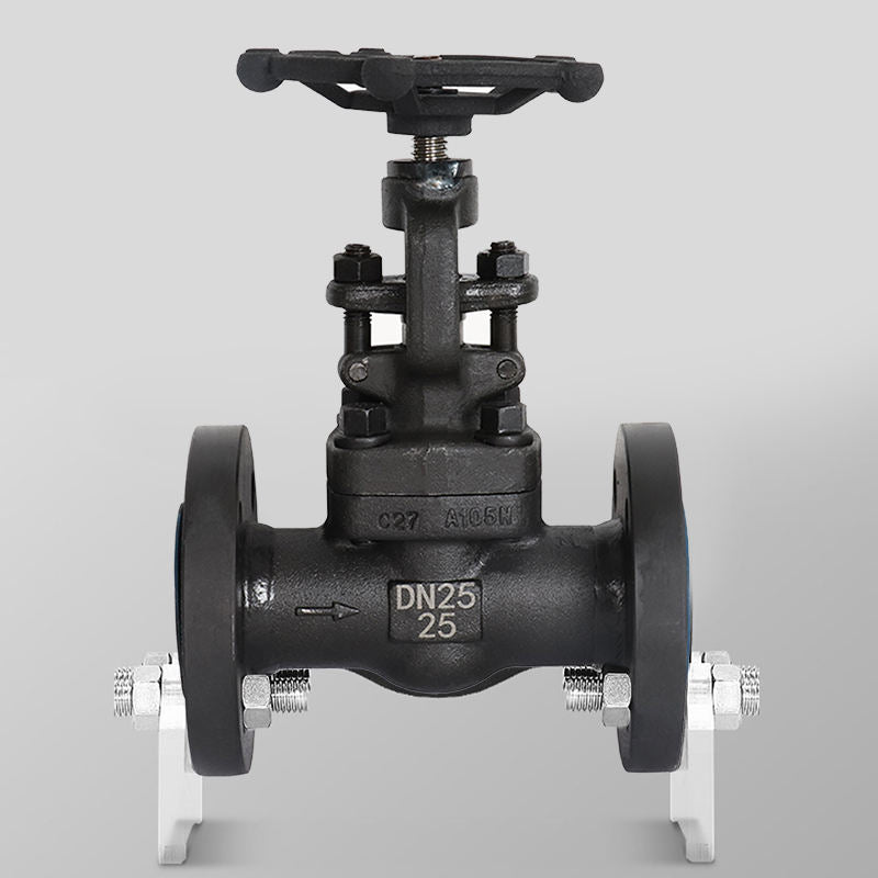 Falvoryn DN80 (3") A105N Manual Flanged Globe Valve — PTFE Sealed, PN16/PN25, Gland Packing