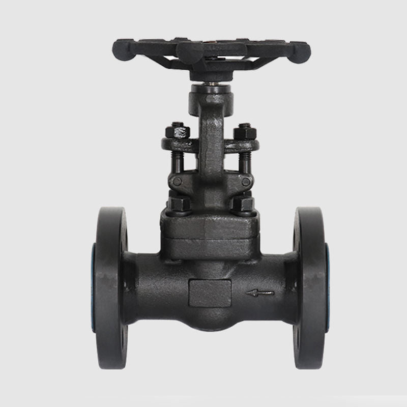 Falvoryn DN80 (3") A105N Manual Flanged Globe Valve — PTFE Sealed, PN16/PN25, Gland Packing